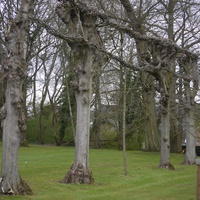 Photo de belgique - Le château de Jehay